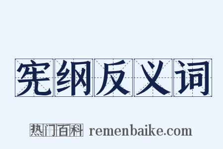 宪纲反义词是什么意思的图片